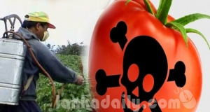 කෘෂි රසායන 5ක් තහනම් කර ගැසට් නිවේදයක්