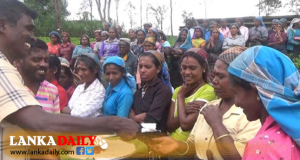 අභියාචනාධිකරණ තීන්දුවට වතු කම්කරුවන් කිරිබත් කා සතුට සමරයි