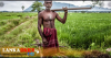 වගාවට අවශ්‍ය පොහොර පාලන මිළට !