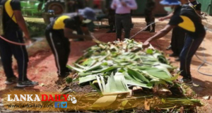 කාබනික පොහොර නිෂ්පාදන ව්‍යාපෘතියක් ගුවන් හමුදාවෙන් !