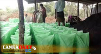 තේ , පොල්,  සහ කුරුඳු පොහොර මිල අඩු කෙරේ!