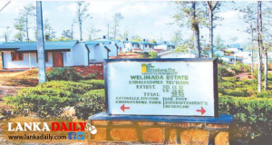මලෛ­ය­ගම් ජන­තා­වට නිවාස හිමි­ක­ම්පත් 2000ක්
