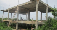 යාල වන සංහාරය වහා නවතනු