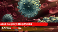 කොවිඩ් වෛරසයේ නව ප්‍රභේද 240ක් ඉන්දියාවෙන් !