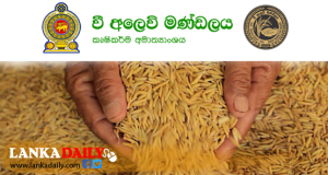 වී මිලදී ගැනීම සඳහා අයැදුම්පත් නිකුත් කිරීම අද සිට