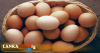 බිත්තර ආනයනයට අනුමැතිය