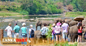 මාස 3ක් තුළ ජාතික වනෝද්‍යාන නැරඹීමට පැමිණි විදෙස් සංචාරකයින් සංඛ්‍යාව ලක්ෂ දෙක පනී