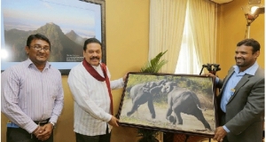 රනිලුයි සජිතුයිද මේ? -ජනපති ඉෂාර ගෙන් විමසයි