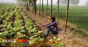 ආහාර අර්බුදයෙන් රට වළපල්ලටම වැටෙයිද ?   