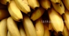 කෙසෙල් කන්න සුවෙන් ඉන්න