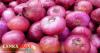 ලොකු ළුෑණු ගැන ආරංචියක්