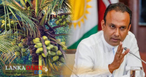 පොල් ගස කැපීම තහනම් පනතට