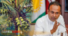 පොල් ගස කැපීම තහනම් පනතට