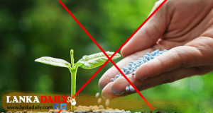 රසායනික පොහොර තහනම දිගටම. ආපසු හැරවීමක් නෑ.!