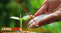 රසායනික පොහොර තහනම දිගටම. ආපසු හැරවීමක් නෑ.!