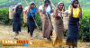 කඳුකරයේ ජනතාව අය වැය පිළිගන්නවා -ජීවන් තොණ්ඩමන්