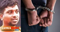 කංජිපානී ලොකු පැටී අසුවෙයි