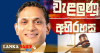 ෂාෆ්ටර් මරණය අපරාධයක් බව හෙළිවේ ! ඝාතනය සිදුවී ඇති අයුරුත් හෙළිවේ !