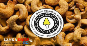 ඉතිහාසයේ පළමු වරට කජු සංස්ථාවට කෝටියක අදායමක්