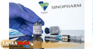 කලාකරුවන් සදහාත් සිනෝෆාම් එන්නත