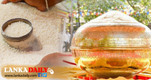 57 වැනි ජාතික අලුත් සහල් මංගල්‍යය ජනාධිපතිගේ ප්‍රධානත්වයෙන් අද