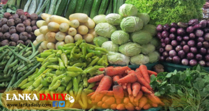 වට්ටක්කා, කැකිරි සහ පිපිඤ්ඤා හැර අනෙකුත් එළවලු මිළ නැවතත් ඉහළට