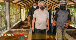 පරාජය වෙමින් තිබෙන රසායනික පොහොර මා‍ෆියාව