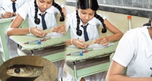 උසස් පෙළ විභාග ශාලාවේදී ගැරඬියෙකු සපා කාලා