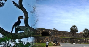 නිස්කලංකව සංචාරය කළ හැකි රටවල් අතරට ලංකාව