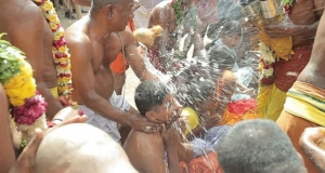 වාසනාව බලන්න හිසේ පොල් ගසන්නෝ