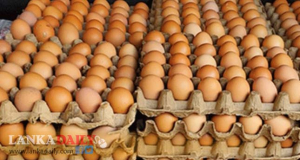 බිත්තර ආනයනය කිරීමට කැබිනට් අනුමැතිය