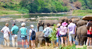 පසුගිය වසරට වඩා සංචාරක පැමිණීම් දෙගුණයකින් ඉහළට
