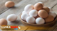 බිත්තර ආනයනයට රජයේ යළිත් අවධානය