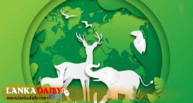 දිවයින පුරා සිටින වනජීවී නිලධාරීන් අද වැඩවර්ජනයක