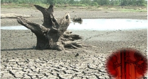 නියඟයෙන් වකුගඩු රෝගීන් කබලෙන් ලිපට