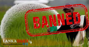 මීළඟ මහ කන්නයේ සිට වී ගොවිතැනට රසායනික පොහොර, කෘෂි රසායන තහනම් !