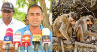 වගා හානි කළත් සතුන් මරන්න තරම් අපි පව් කාරයෝ නොවෙයි. - ගොවියෝ කියති   