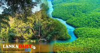 ඇමසන් රකින්න නව වැඩපිළිවෙලක්   