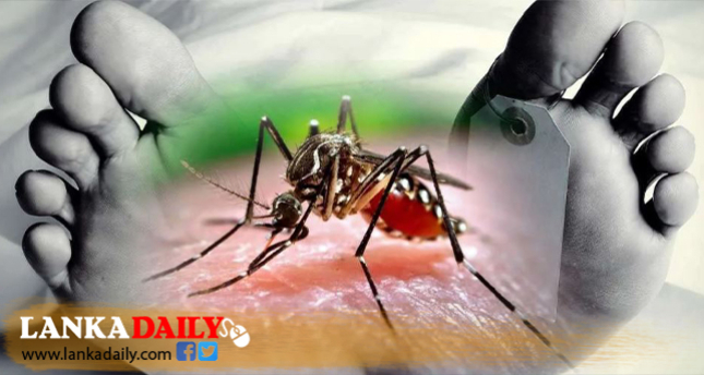 ඩෙංගු මරණ සංඛ්‍යාව 63 දක්වා ඉහළට