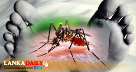 ඩෙංගු මරණ සංඛ්‍යාව 63 දක්වා ඉහළට