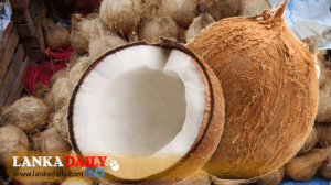 ලබන මාසයේ පොල් මිළ අඩුවන ලකුණු