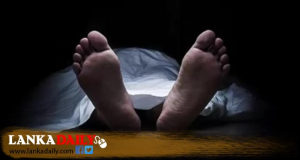 උණුසුම වැඩි වී යාපනය ප්‍රදේශයේ තවත් පුද්ගලයෙකු මරුට