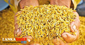 රජයේ තීරණයන් නොසලකා වැඩකරන මෝල් හිමියන් අසාදු ලේඛනයට