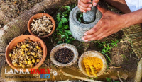 ආයුර්වේද ඖෂධ නොමිලේ නිවසටම !