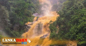 රුදුරු වූ රාවණාට ළංවීමත් තහනම් !