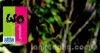 මව්බිමෙන් 'යං' යන්න යයි!