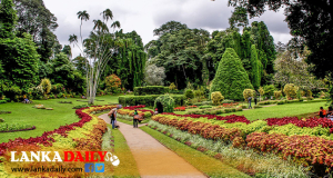 දේශගුණික කලාප අනුව රට තුළ උද්භිද උද්‍යාන 10ක් පිහිටුවීමට සැලසුම්