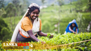 වතු කම්කරුවන්ගේ වැටුප රු.1000 කිරීමේ යෝජනාවට ස්ථිර අනුමැතිය