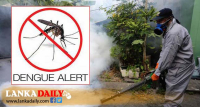 ජාතික ඩෙංගු මර්දන සතියක් ප්‍රකාශයට පත් කරයි