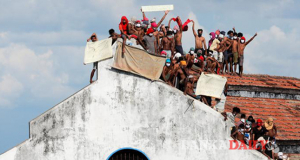 මහර රැදවියන් 11දෙනාම වෙඩි වැදීමෙන් මියගිය බව හෙළිවේ   
